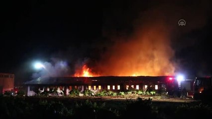 Geri dönüşüm tesisinde çıkan yangına müdahale sürüyor
