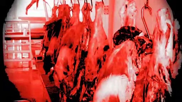 Las 8 imágenes más aterradoras de Google Maps y Google Earth