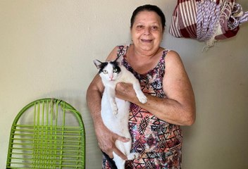 Dona de casa que divide almoço com cães e gatos faz apelo por comida e remédios para animais