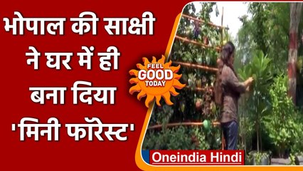 Bhopal की इस महिला ने घर में ही बना दिया  'mini-forest', लगाए 4 हजार पौधे । वनइंडिया हिंदी