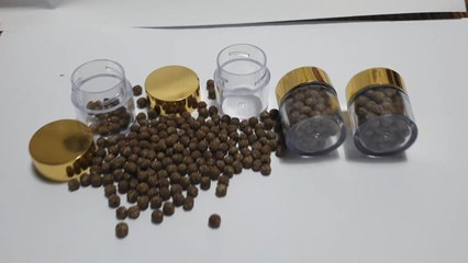 "복어에 항암효과"...불법 제조·거짓광고 업체 적발 / YTN