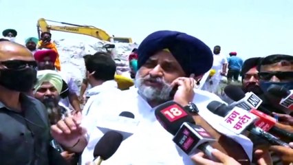 ਸੁਖਬੀਰ ਬਾਦਲ ਦਾ ਐਕਸ਼ਨ Sukhbir Badal enters Beas River | The Punjab TV