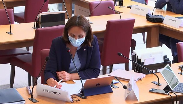 Commission des affaires étrangères : M. Thomas Gomart, directeur de l’Institut français des relations internationales - Mercredi 30 juin 2021