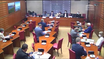 Commission du développement durable : Conclusions de la mission « flash » visant à comparer les expériences européennes de zones à faibles émissions mobilité  - Mardi 29 juin 2021