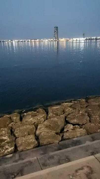 Sea new day