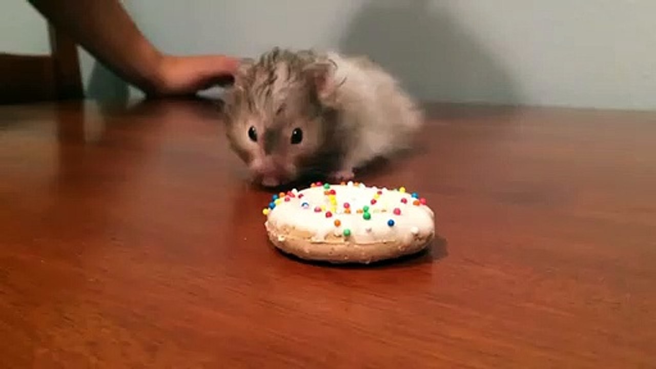Öyle bir donut yedi ki...