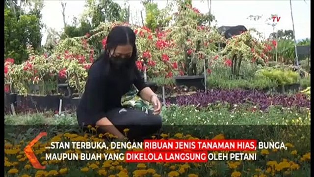 Aman Wisata dan Belanja di Mal Bunga Kota Batu