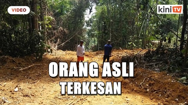 PSM, NGO lancar petisyen bantah lombong nadir bumi di hutan Jelai