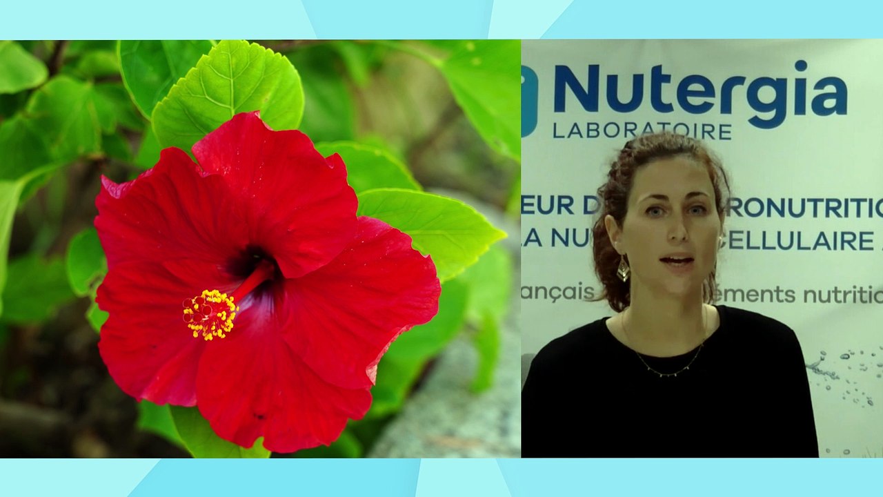 Expertises Santé, les bienfaits des phytominéraux avec NUTERGIA