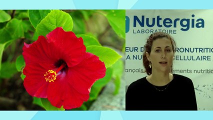 Expertises Santé, les bienfaits des phytominéraux avec NUTERGIA