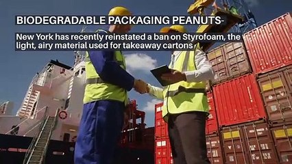 Eco-Friendly packaging For Your Free Business Shipping