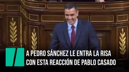 "¿Cómo es posible que una exministra de Aznar resuelva los expedientes del Tribunal de Cuentas?"