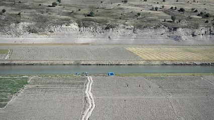 Mevsimlik işçiler aşıya gidemeyince sağlık ekipleri tarlaya indi