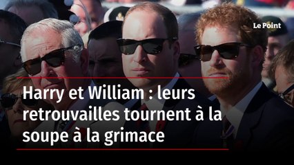 Harry et William : leurs retrouvailles tournent à la soupe à la grimace