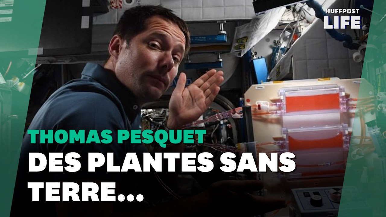 Comment Thomas Pesquet essaie de faire pousser des plantes sur l'ISS
