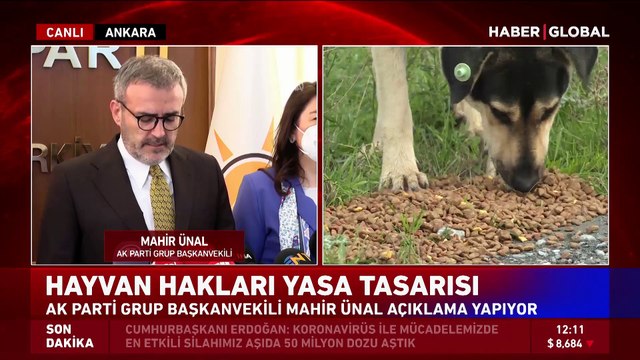 AK Parti'den hayvan hakları yasa tasarısı açıklaması