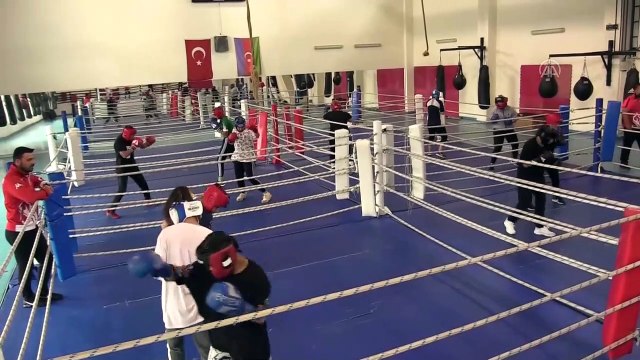 KASTAMONU - Yıldız erkek ve kadın boks milli takımları Avrupa Şampiyonası'ndan madalyalarla dönmeyi hedefliyor (2)