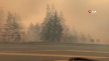 Son dakika haberi... Aşırı sıcakların kasıp kavurduğu Kanada'da orman yangını