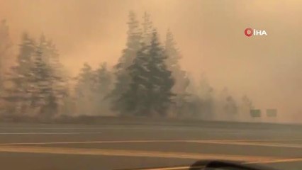 Son dakika haberi... Aşırı sıcakların kasıp kavurduğu Kanada'da orman yangını