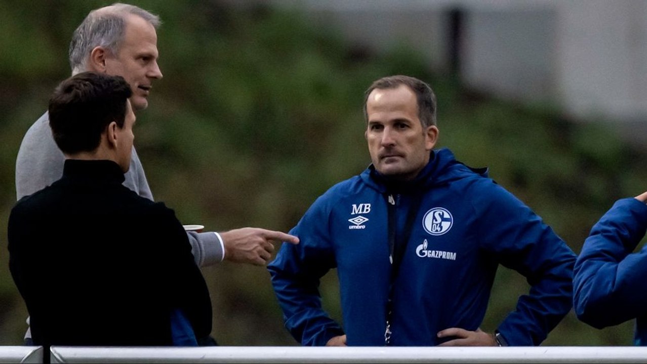 Das Chaos auf Schalke: 'Die Alleinverantwortung trägt nicht Manuel Baum'