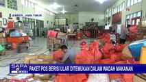 Geger Paket Berisi Ular Ditemukan dalam Wadah Makanan