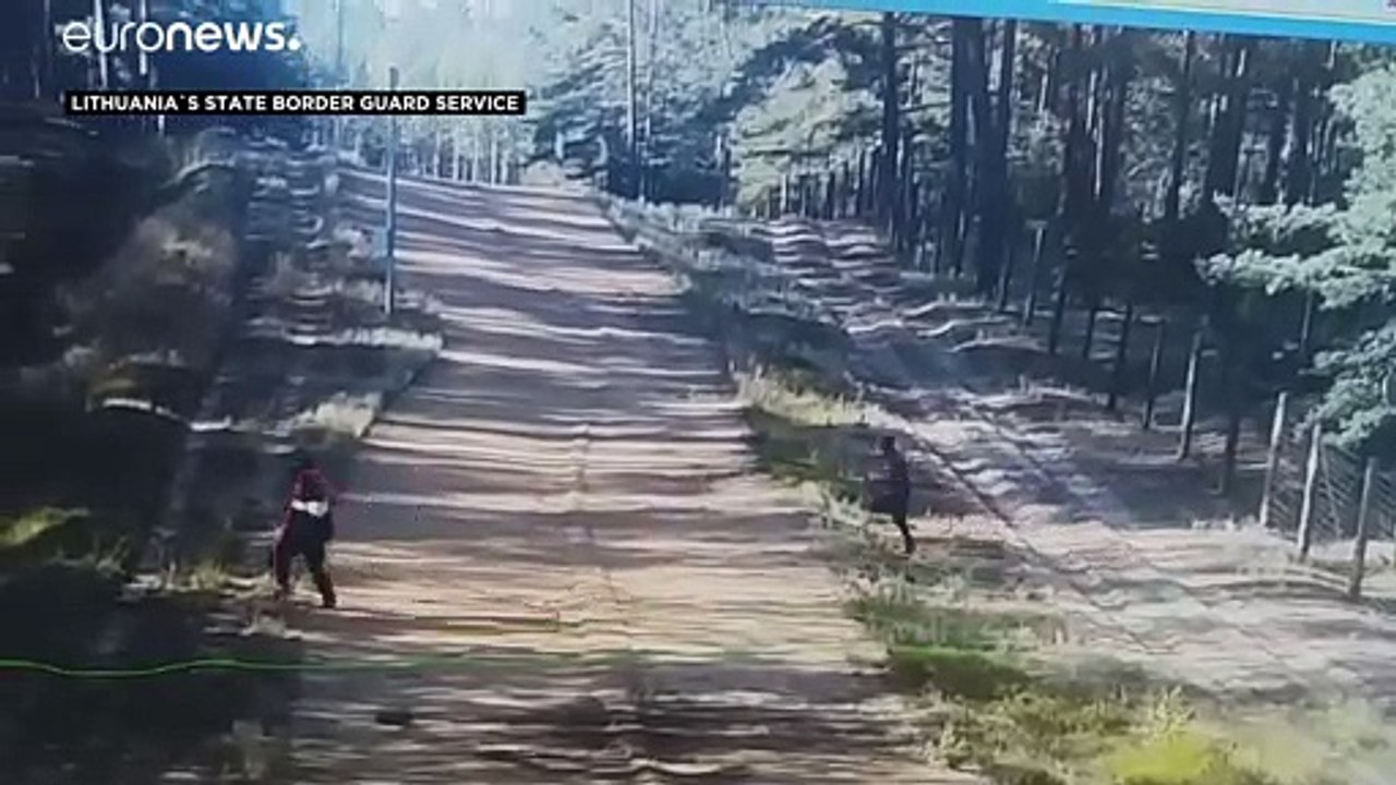 Tagesrekord: 160 illegale Migranten in Litauen an der belarussischen Grenze aufgegriffen