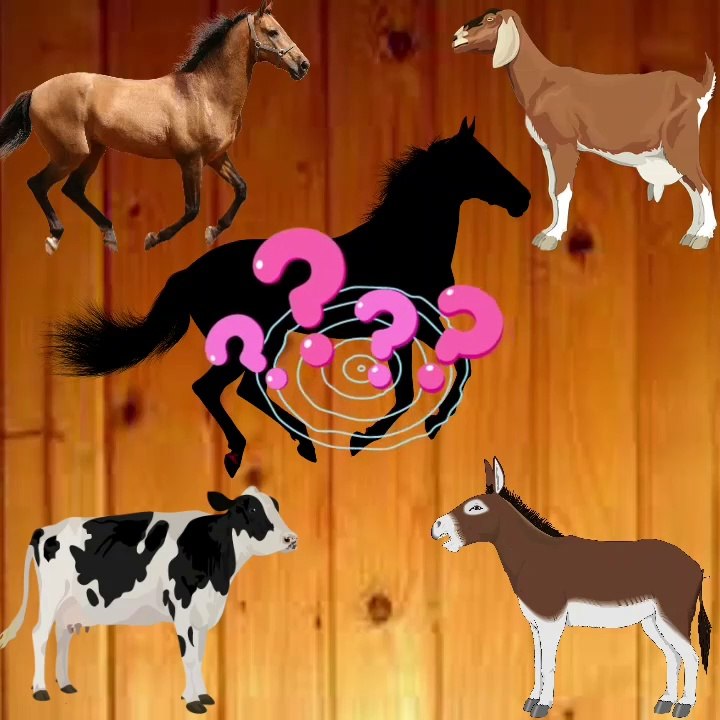 Wrong Head Horse | Animal Wrong Head |Wrong Head Shadow Matching Game |What Is This Animal?