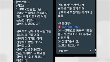 "특례보증 대출 지원" ○○은행·정부 사칭 스팸문자 주의 / YTN