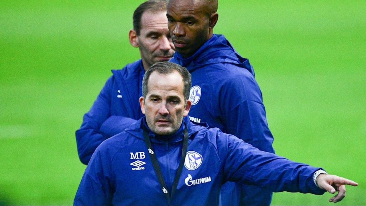 Baum: 'Lasst mich mal machen, ich weiß, was ich tue'