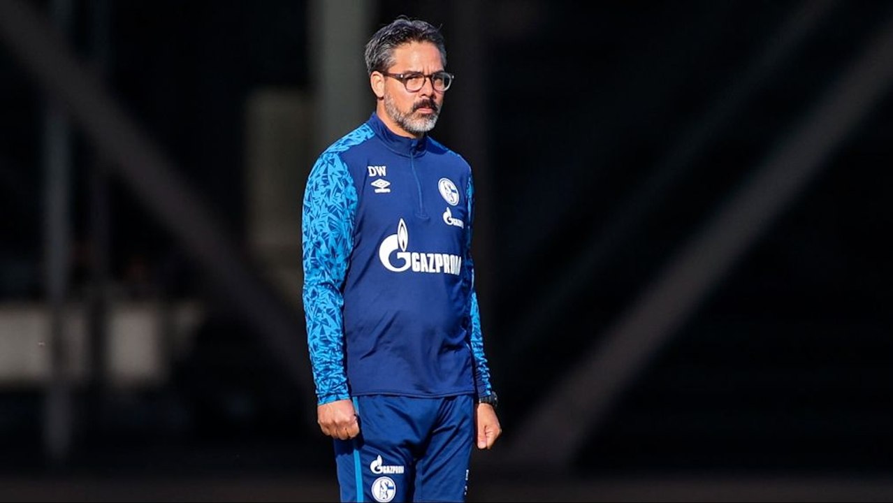 'Es könnte zum Endspiel für Wagner werden' - Schalke gegen Werder ein Schicksalsspiel?