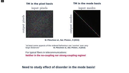 Learning and Avoiding Disorder in Multimode Fibers
