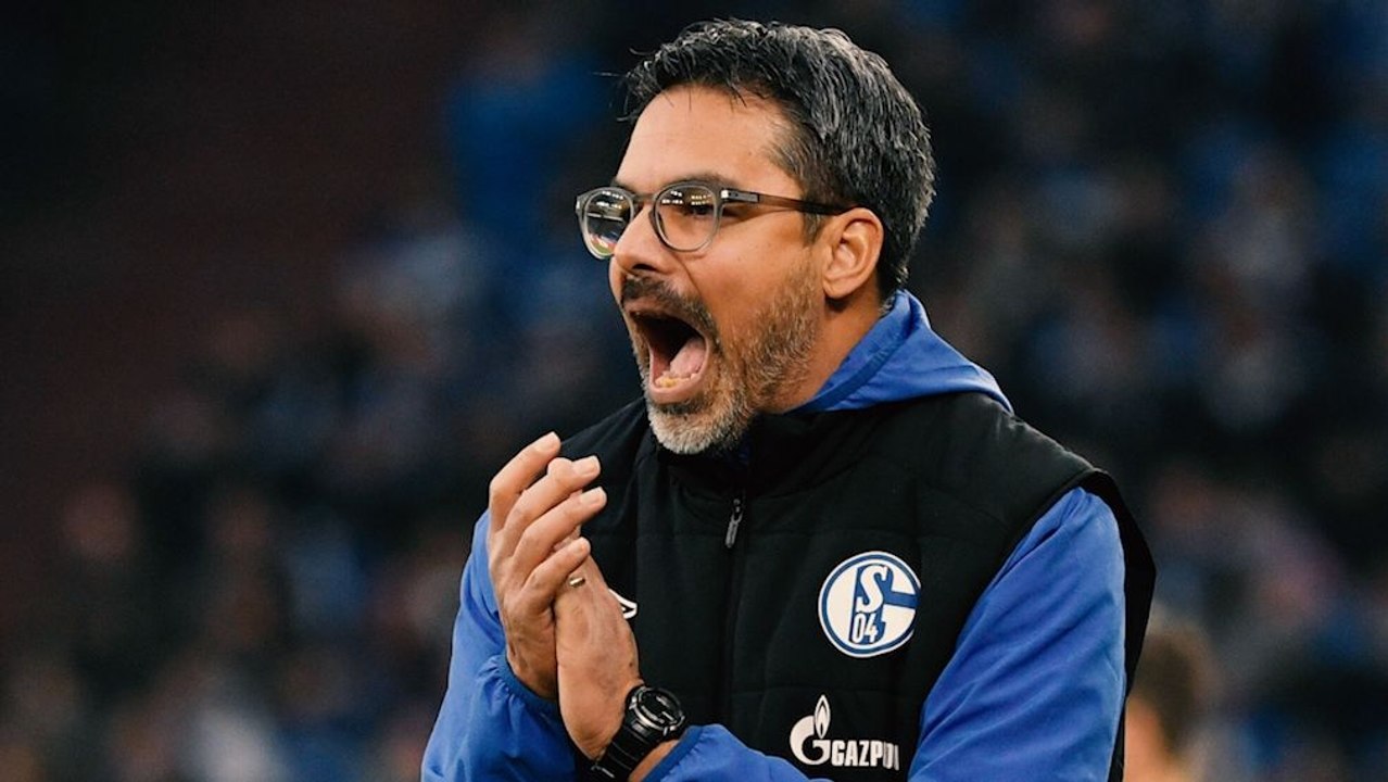 Schalke und der Blick auf die Champions League - 'Auf unsere Leistung fokussieren'