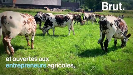 L'école Hectar veut former gratuitement les agriculteurs de demain