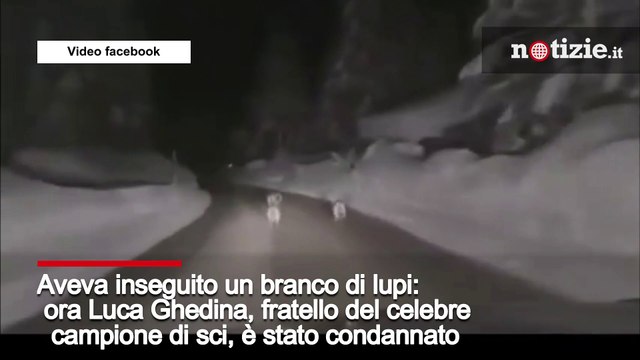 Luca Ghedina condannato: aveva inseguito un branco di lupi sulle Dolomiti