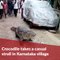 Crocodile enters Karnataka village and takes a stroll down its streets