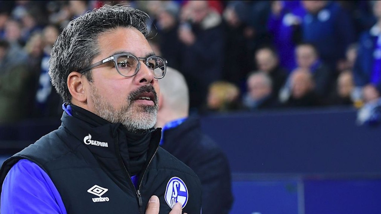 Endlich mal Samstagabend gewinnen - Schalke will die Mini-Krise beenden