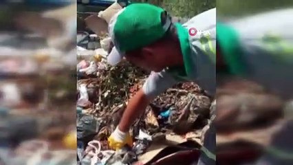 Böyle vicdansızlık görülmedi: Kedi yavrusunu çöpe atmışlar