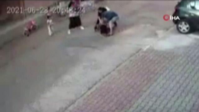 Küçük çocuğa saldıran pitbullun sahipleri adli kontrol şartıyla serbest