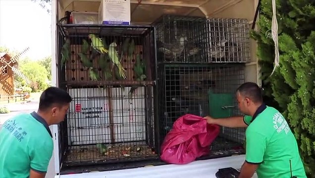 Gaziantep Hayvanat Bahçesi'ne yeni üyeler geldi