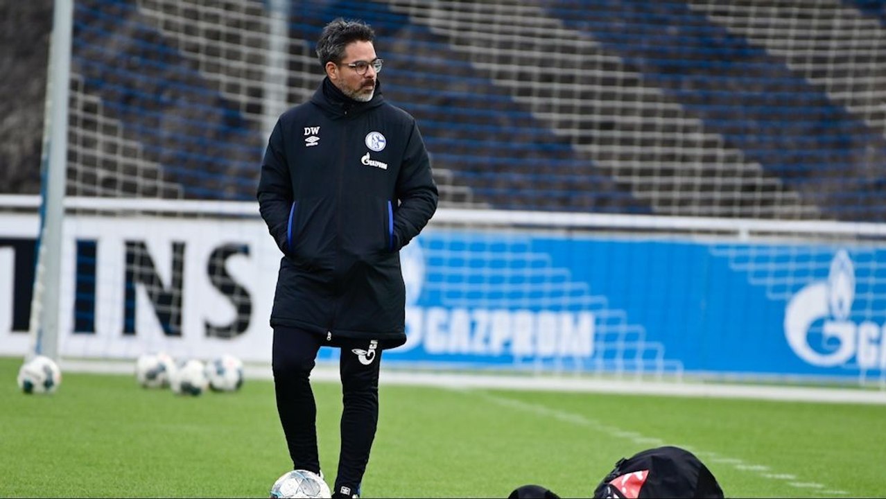 'Wiedererkennungswert entwickeln' - Wagner formt das 'neue' Schalke