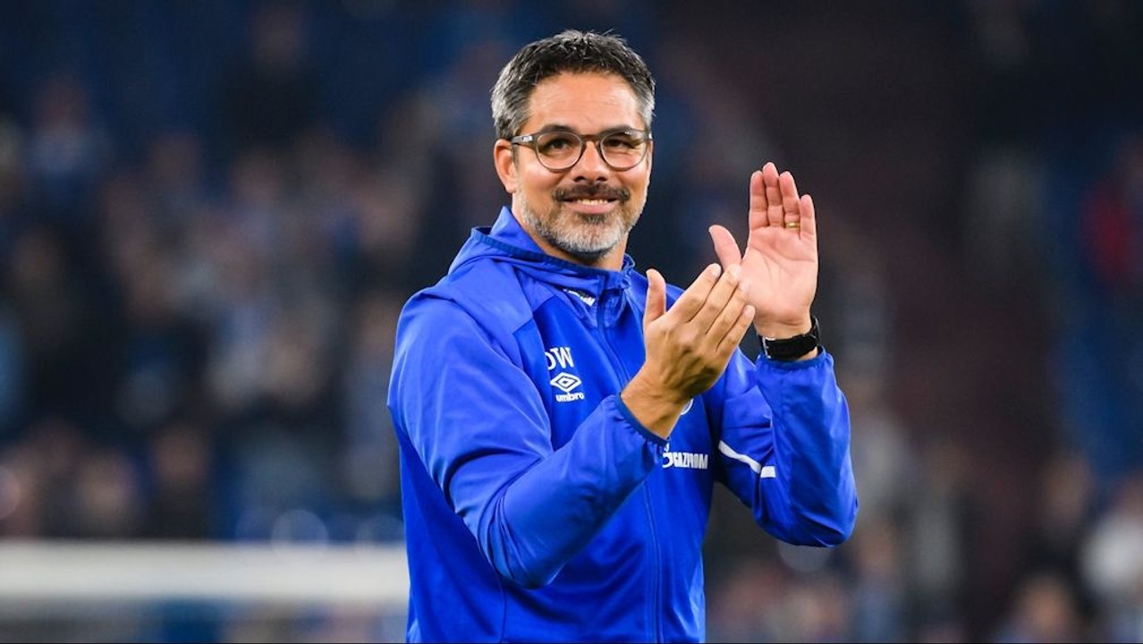 'Champions League ist drin' - das königsblaue Fußballherz lacht wieder