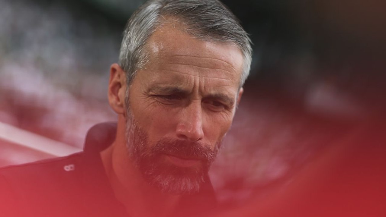 Als Spitzenreiter wieder nach Dortmund - Gladbach und das zweite Borussen-Treffen