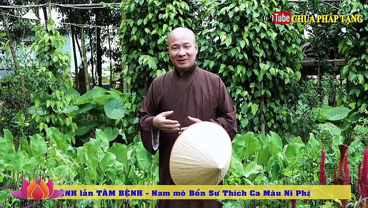 Đau Bao Tử, Viêm Sung Huyết - Loét Dạ Dày - Xuất Huyết Tiêu Hóa (rất Công Hiệu)thầy Thích Trí Huệ