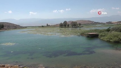 "Expo 2021 Hatay"ın maskotu: Dağ ceylanları