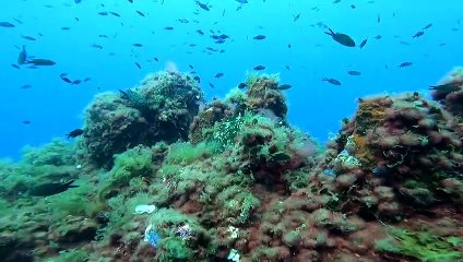Plongez 3 minutes dans la méditerranée au Cap d'Antibes