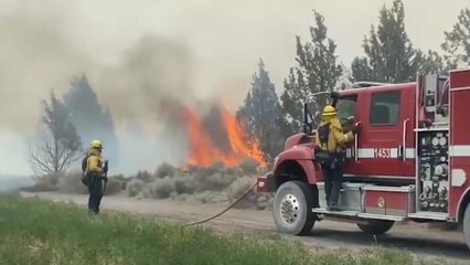 미국·캐나다 서부, 폭염에 수백 명 사망...정전·산불도 잇따라 / YTN