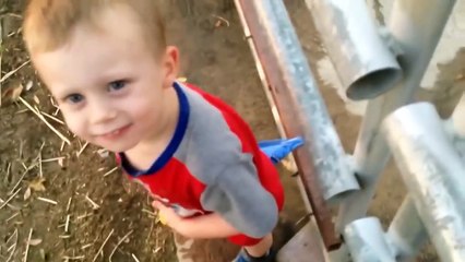 Baby'S Reaction To Parents Say No - Funny Baby Videos