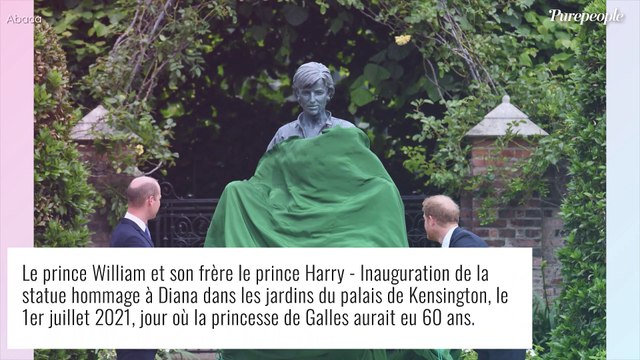 Harry et William : Chaleureuses retrouvailles au nom de Diana, ils dévoilent sa statue à Kensington