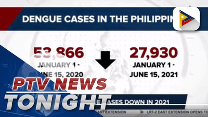 DOH: Dengue cases down in 2021