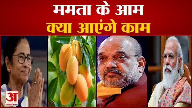 ममता ने निभाई परंपरा, पीएम मोदी और अमित शाह को भेजे आम | Mamata Banerjee Send Mango To PM Modi
